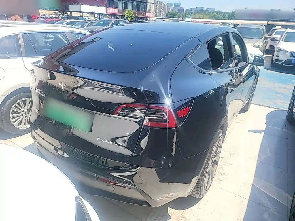 Tesla Model Y — миниатюра 7