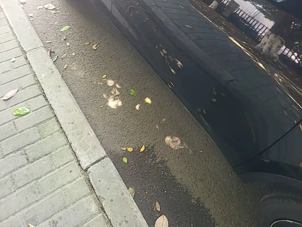 Tesla Model Y — миниатюра 21