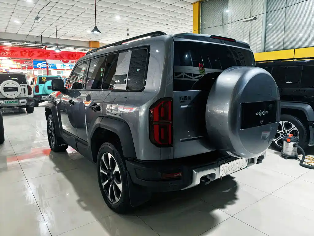 Fang Cheng Bao Leopard 5 — миниатюра 16