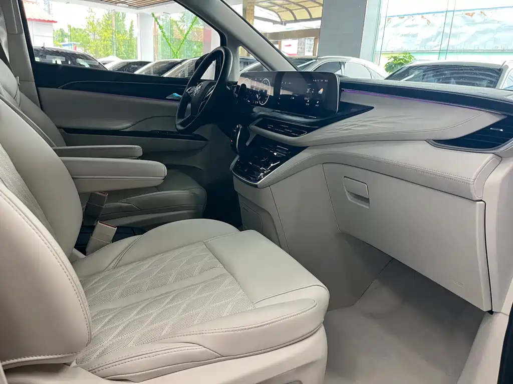 Buick GL8 2022 Avenir мест