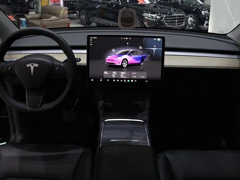Tesla Model Y — миниатюра 9