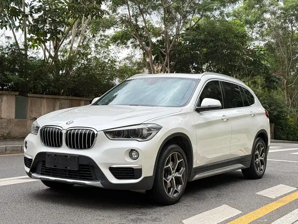 BMW X1 — миниатюра 3