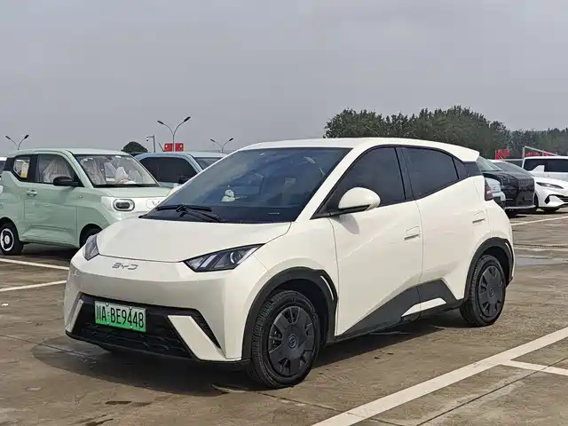 BYD SEAGULL 2024