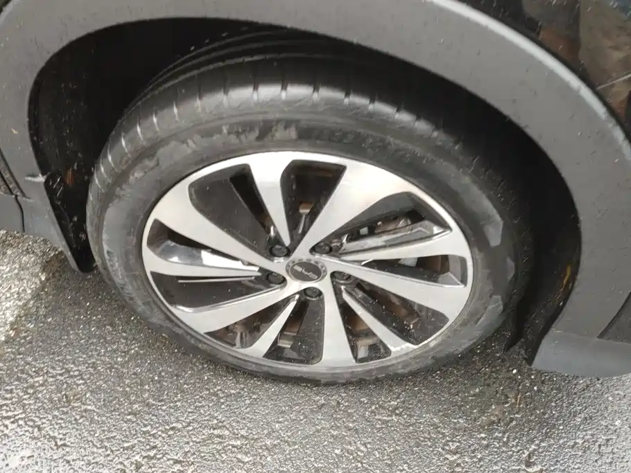 BYD PLUS New Energy — миниатюра 6