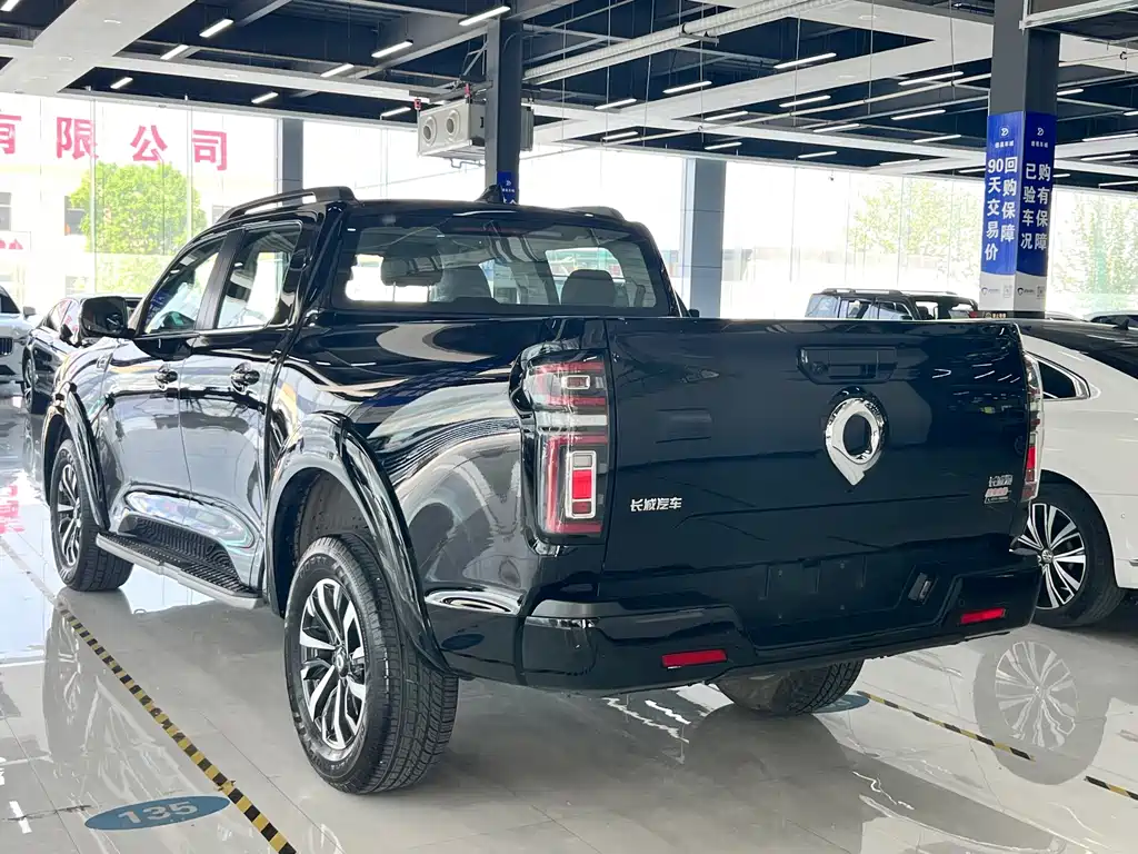 Great Wall Pao — миниатюра 9