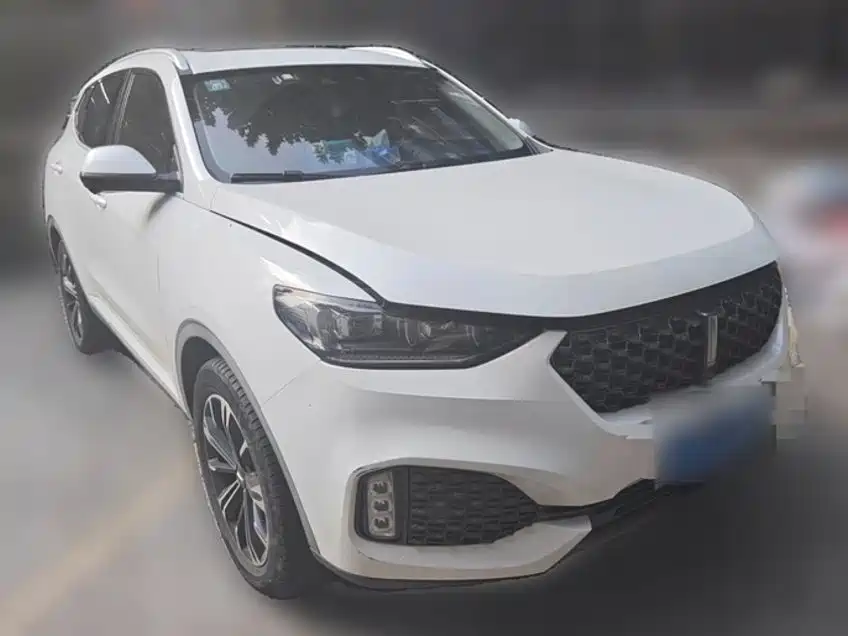 Wey Wey VV6 — миниатюра 26