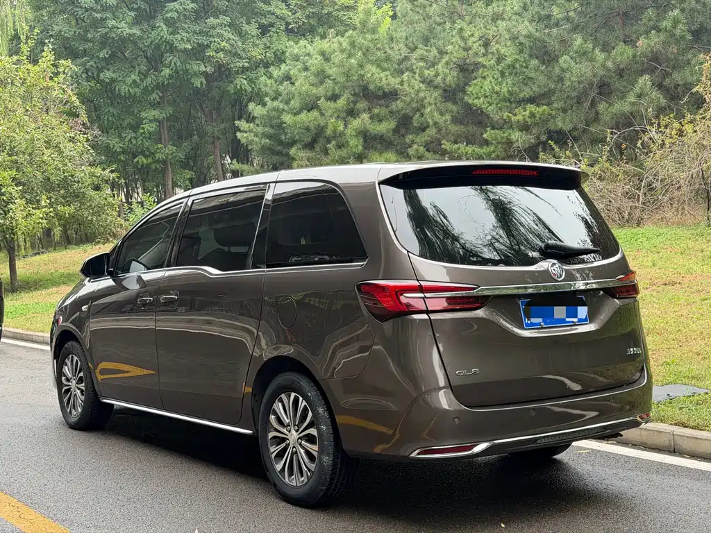 Buick GL8 — миниатюра 4
