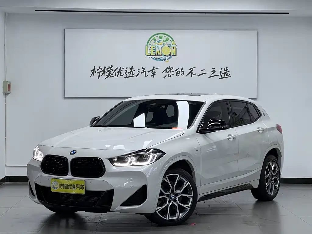 BMW X2 — миниатюра 2
