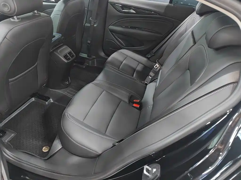 Buick Regal — миниатюра 17