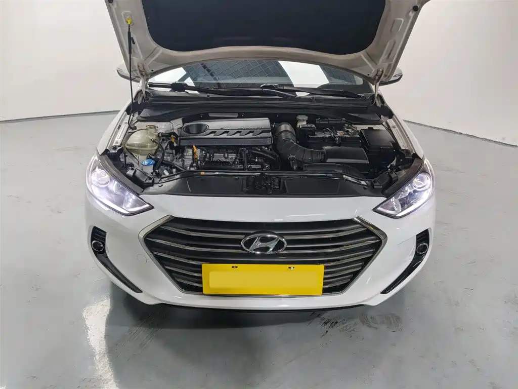 HYUNDAI LEAD