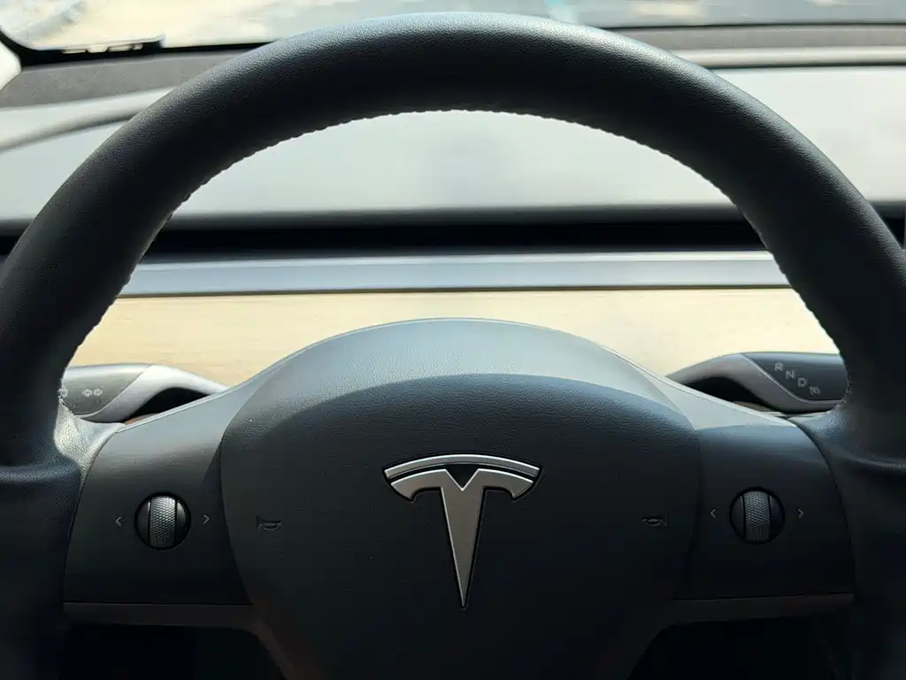 Tesla Model Y — миниатюра 6