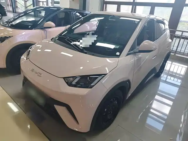 2024 BYD Seagull