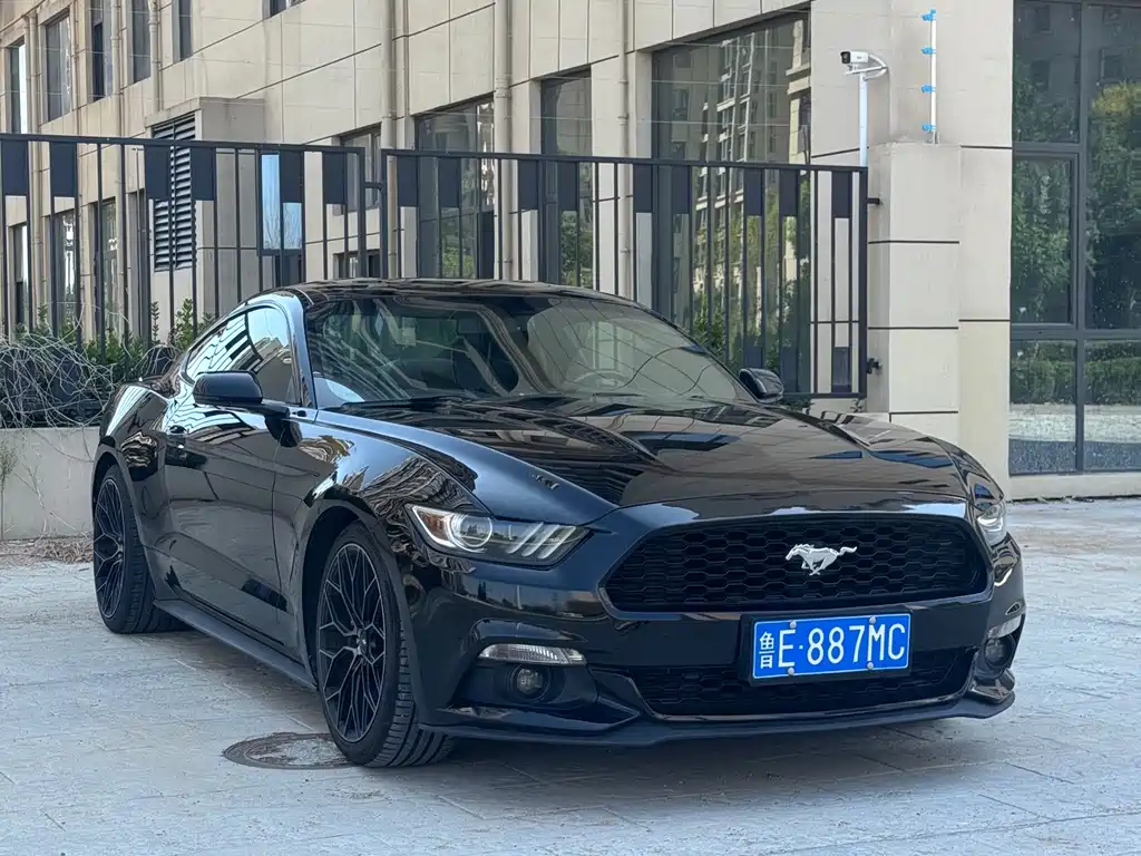 Ford Mustang — миниатюра 3