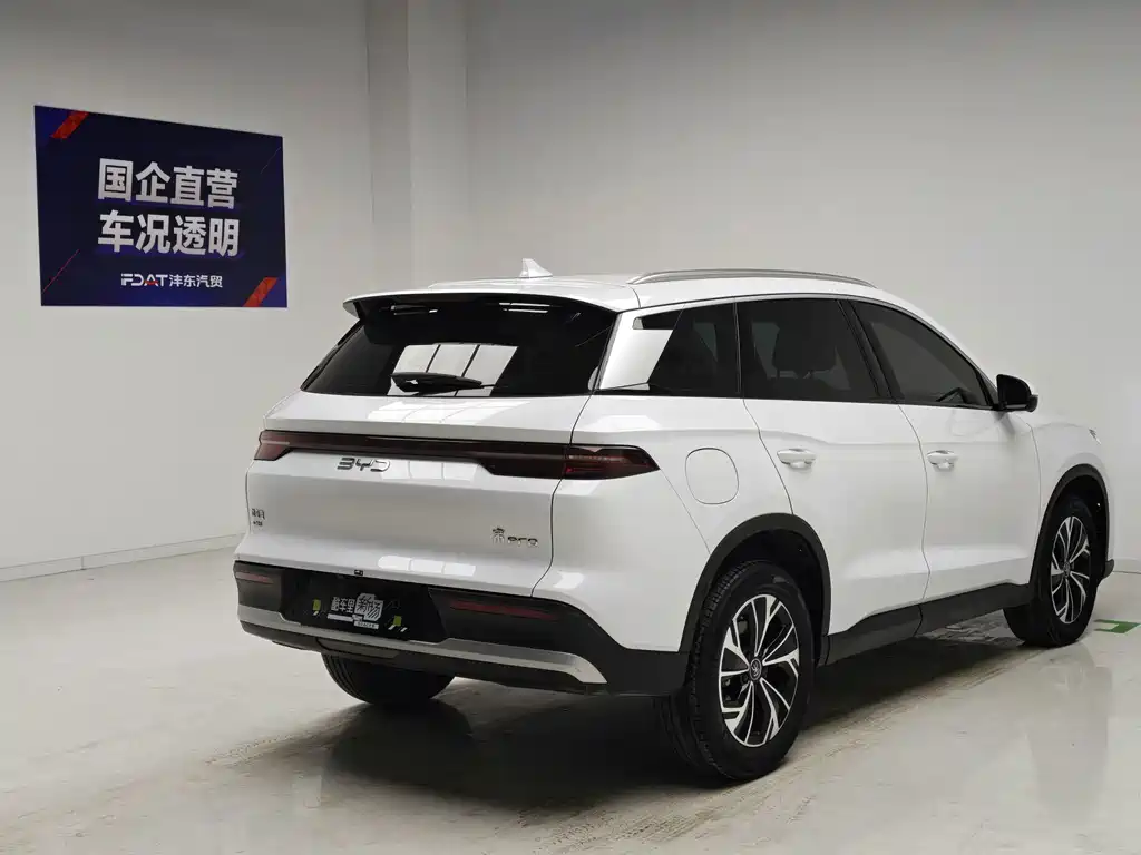BYD Pro New Energy — миниатюра 4