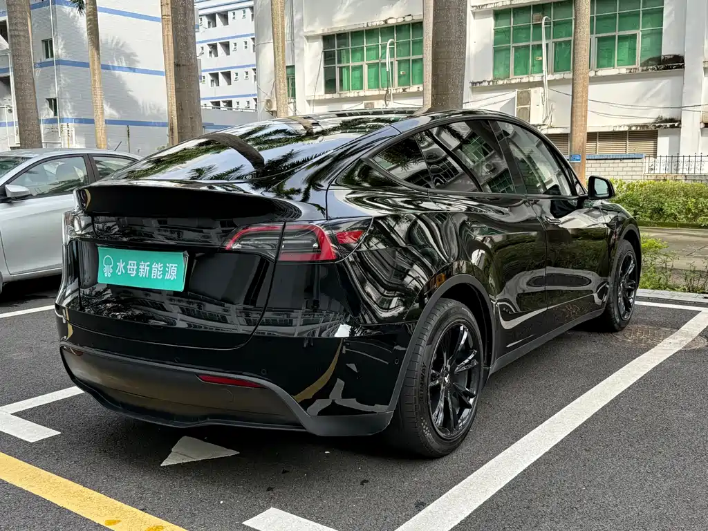 Tesla Model Y — миниатюра 13