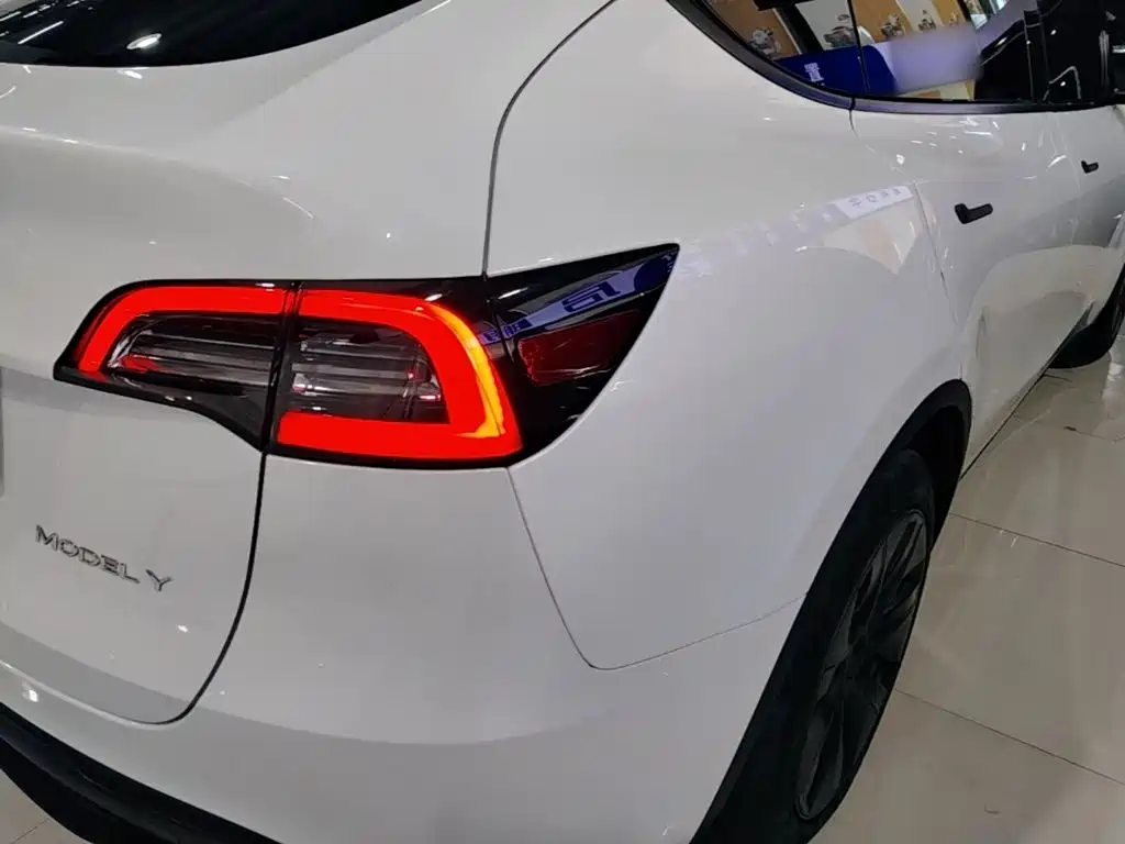 Tesla Model Y — миниатюра 24