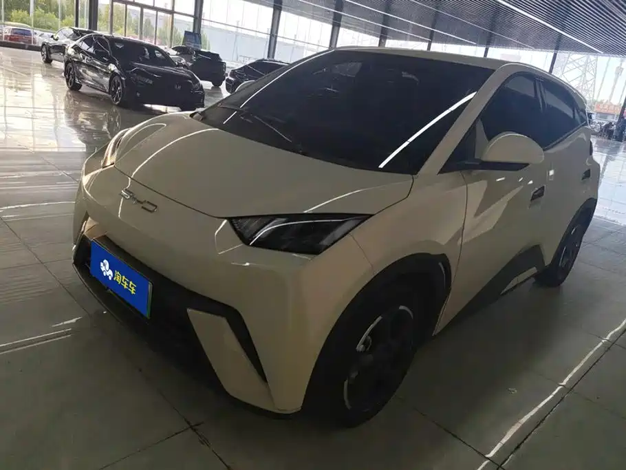 BYD Seagull