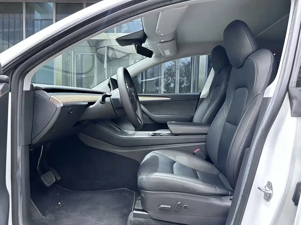 Tesla Model Y — миниатюра 5