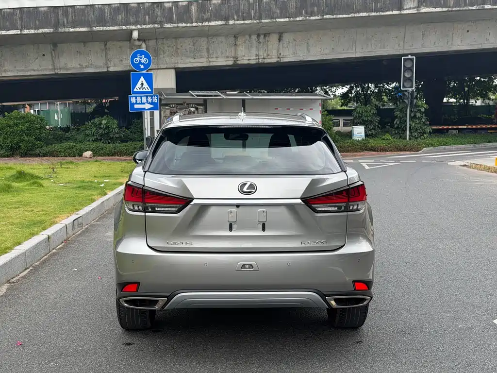 Lexus RX — миниатюра 16