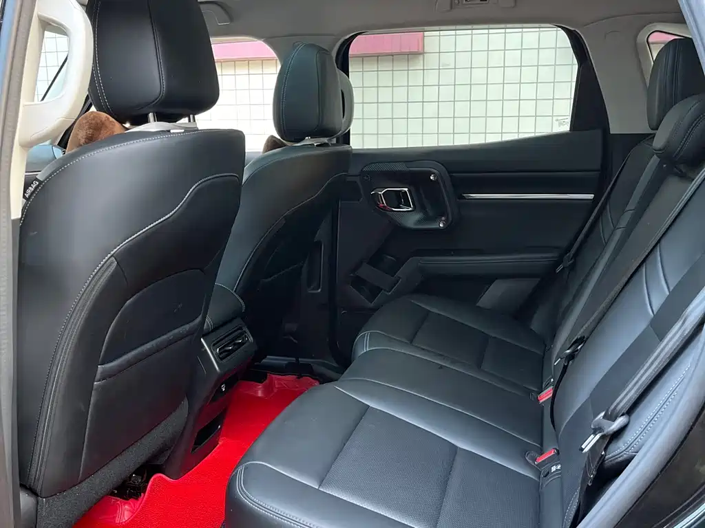 Haval Big Dog PLUS — миниатюра 5