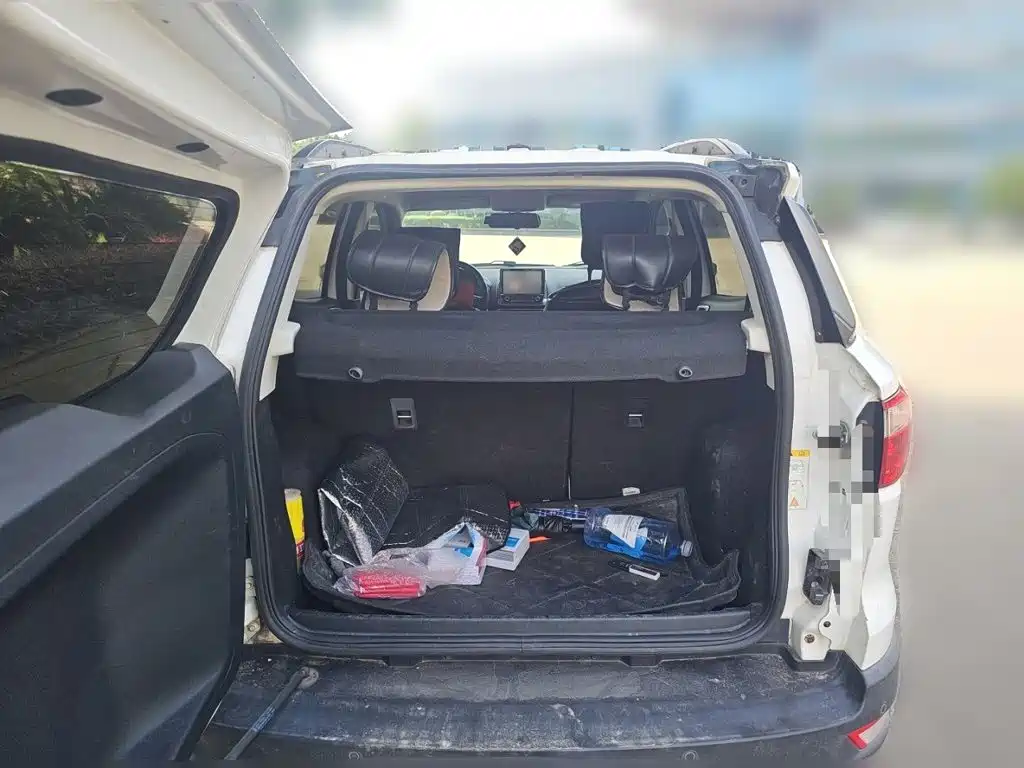 Ford Ecosport — миниатюра 15