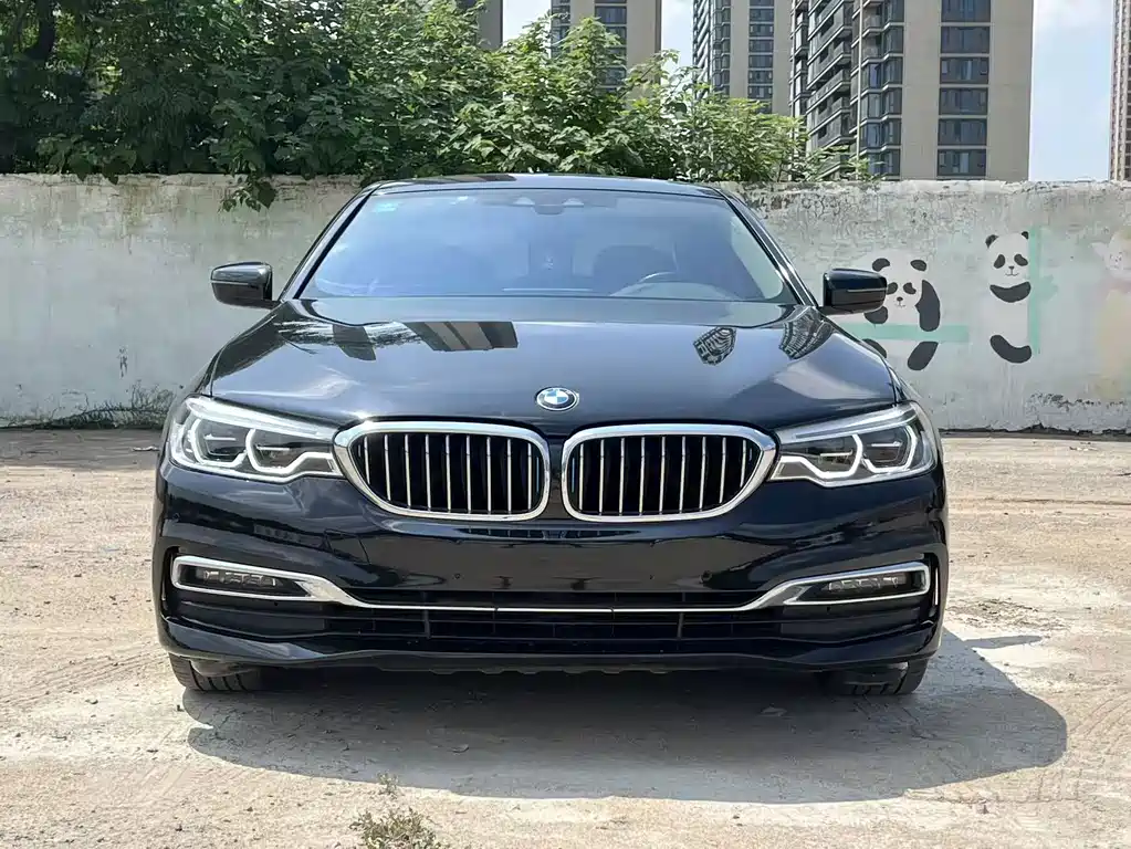 BMW 5 Series New Energy — миниатюра 2