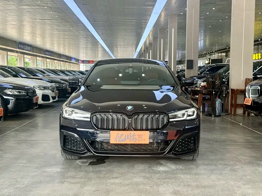BMW 5 Series — миниатюра 2