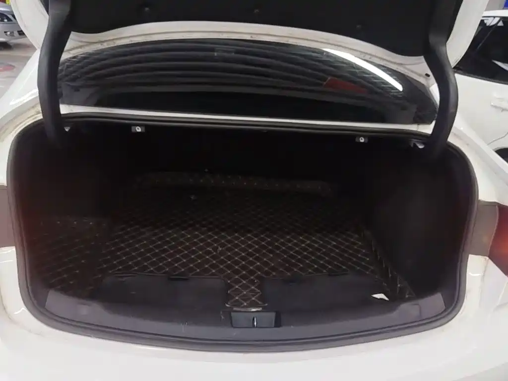 Buick Regal — миниатюра 19
