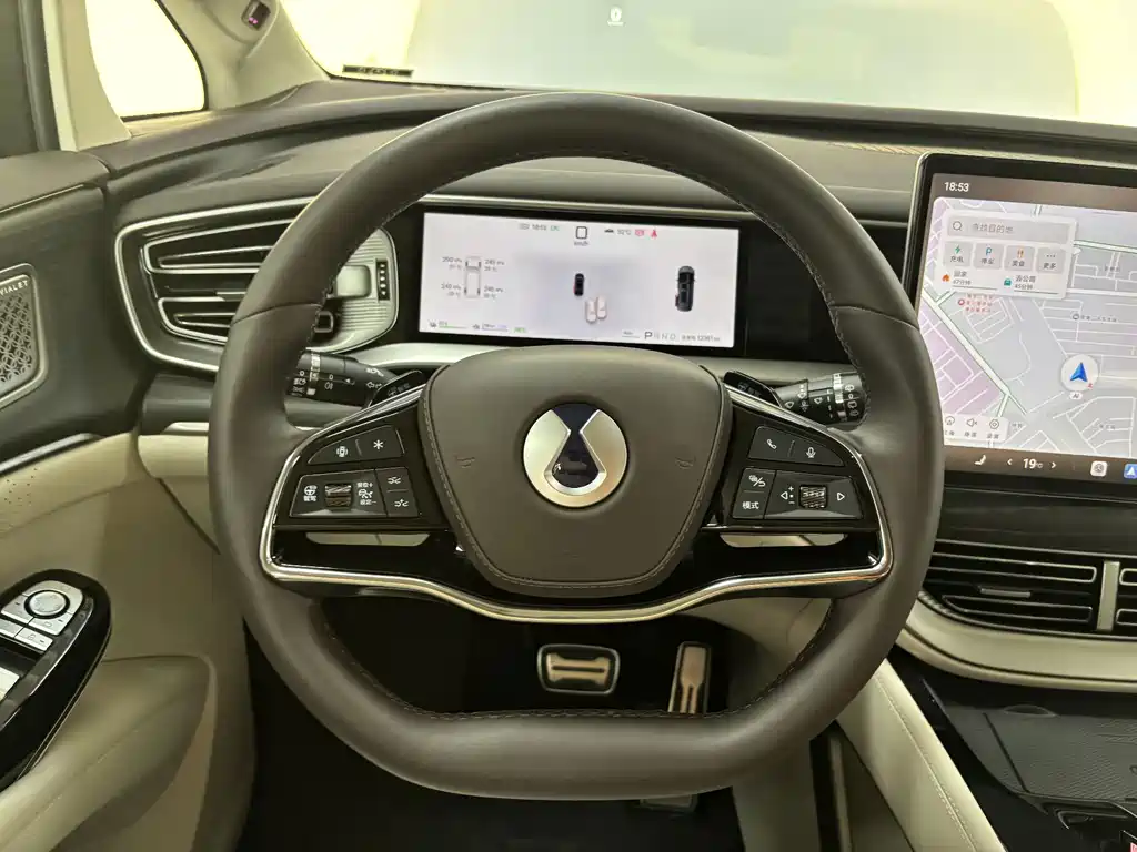 Denza Denza D9 — миниатюра 12