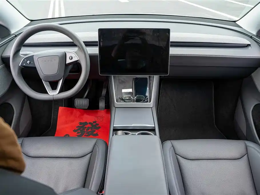 Tesla Model Y — миниатюра 16