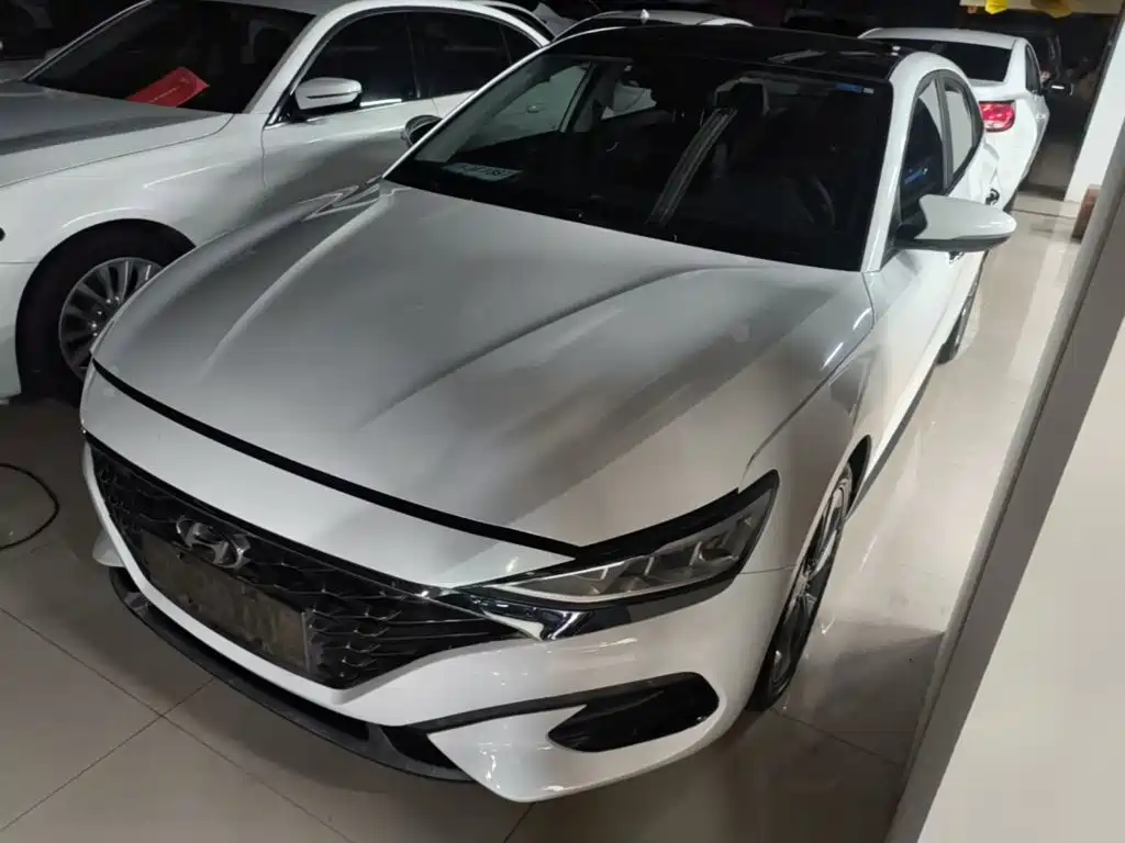 Hyundai Fista — миниатюра 2
