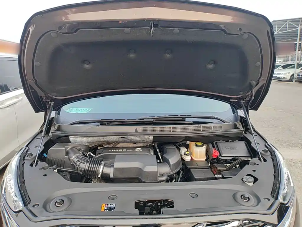 Buick GL8 — миниатюра 20