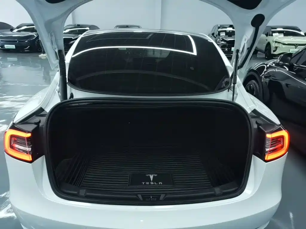 Tesla Model 3 — миниатюра 19