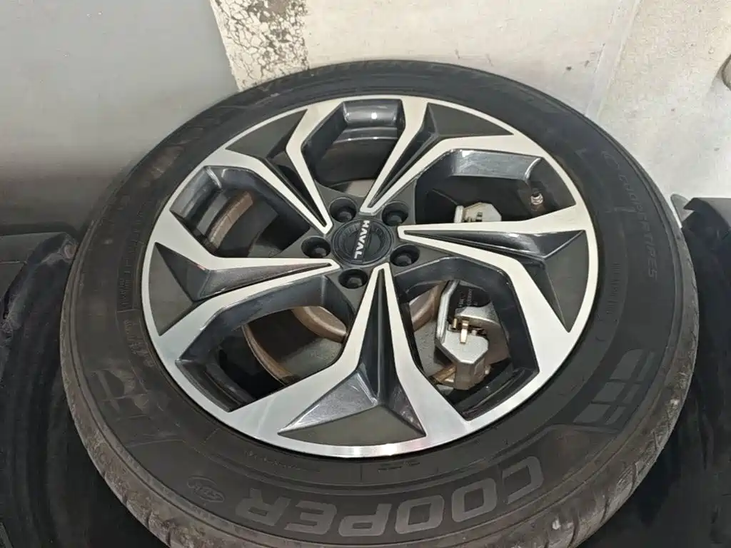 Haval Xiaolong MAX — миниатюра 23