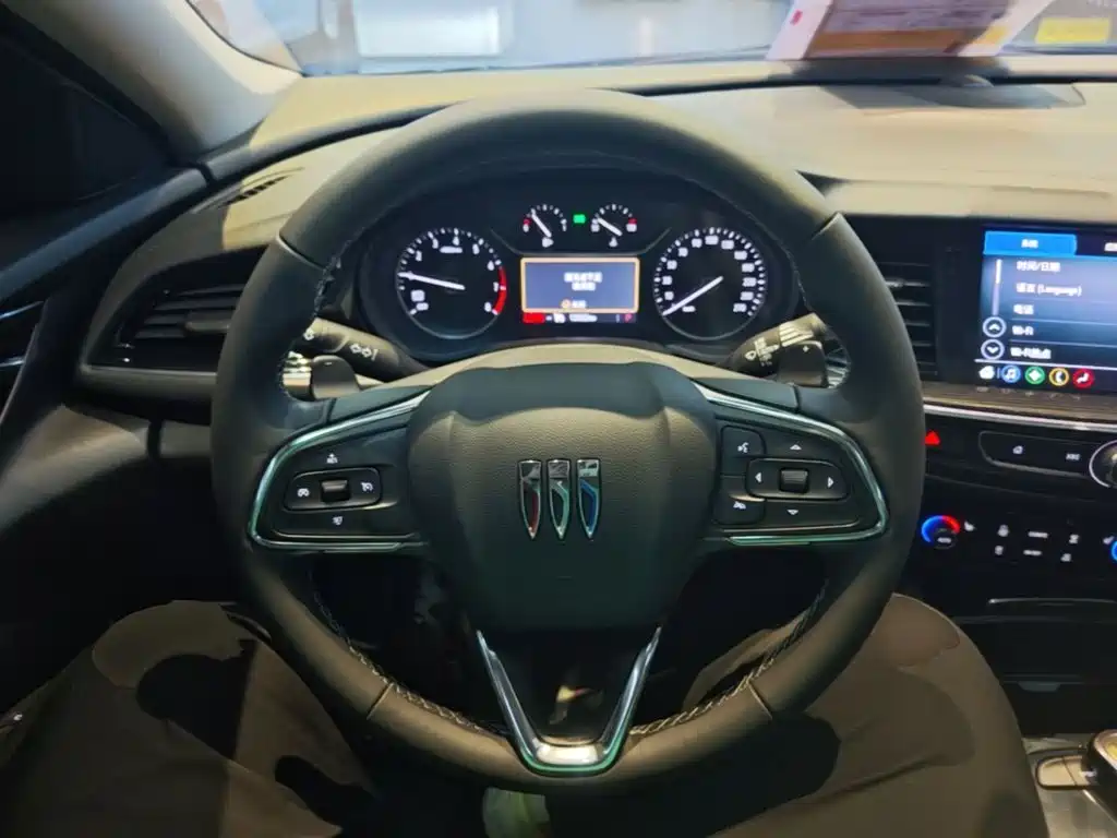 Buick Regal — миниатюра 11