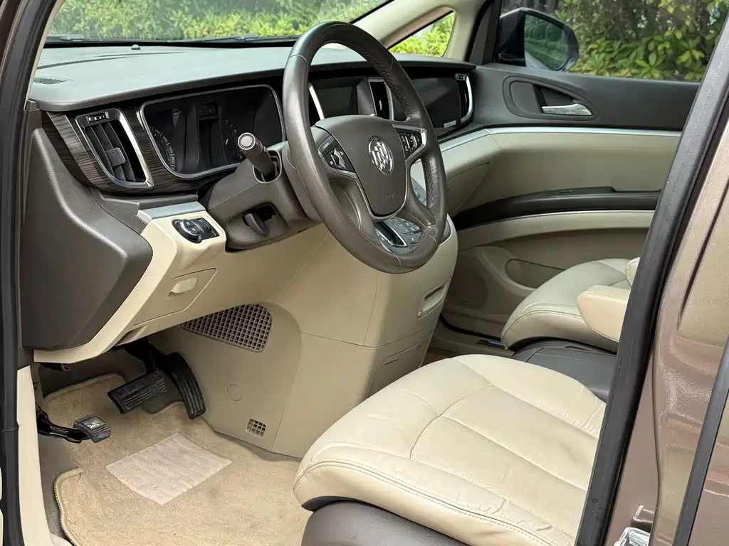 Buick GL8 — миниатюра 8