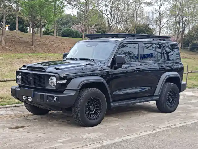 Tank 300