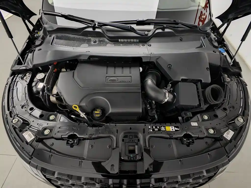 Land Rover Range Rover Evoque 2022 L 249PS R-Dynamic Luxury