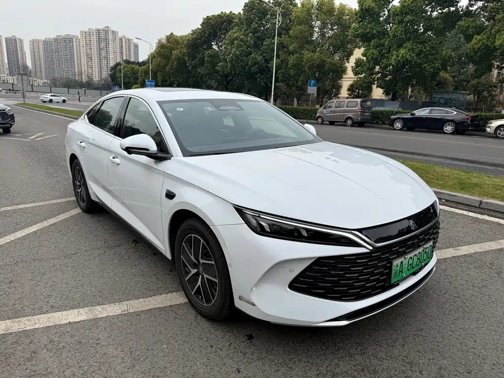BYD QIN L