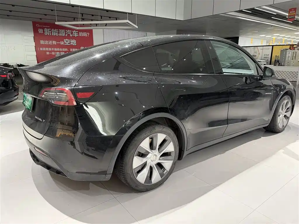 Tesla Model Y — миниатюра 5