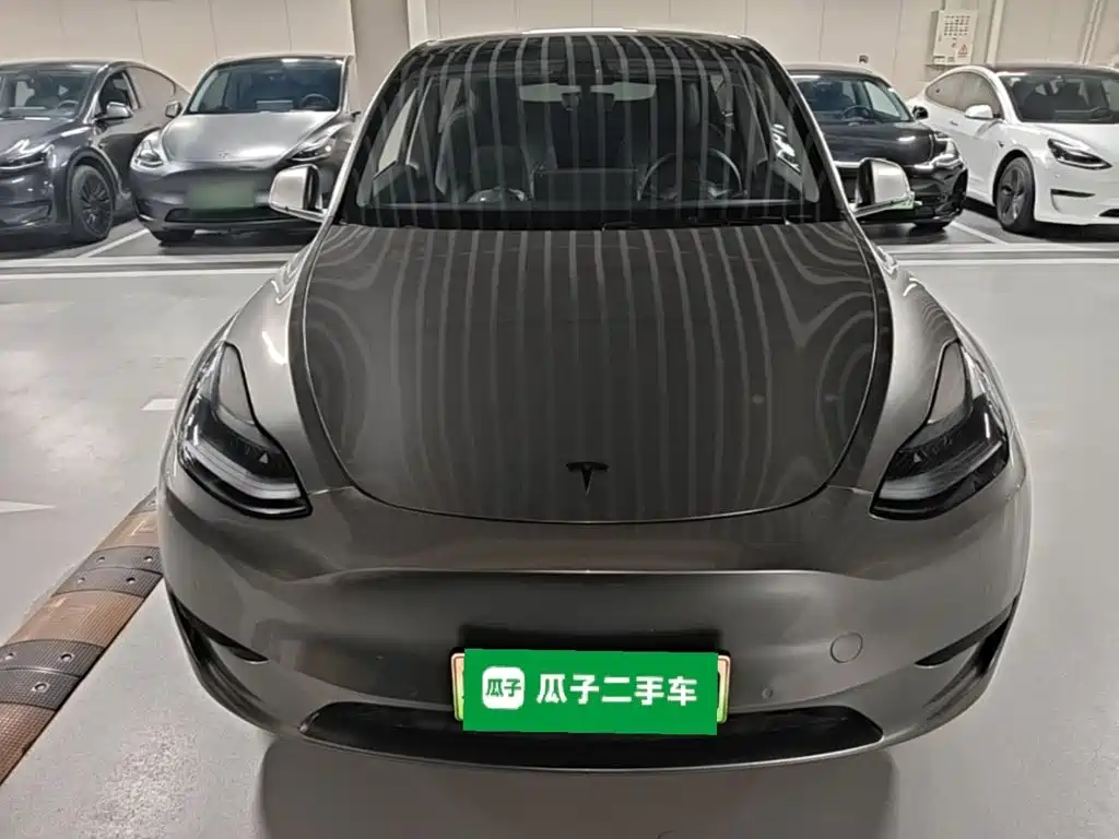 Tesla Model Y — миниатюра 3