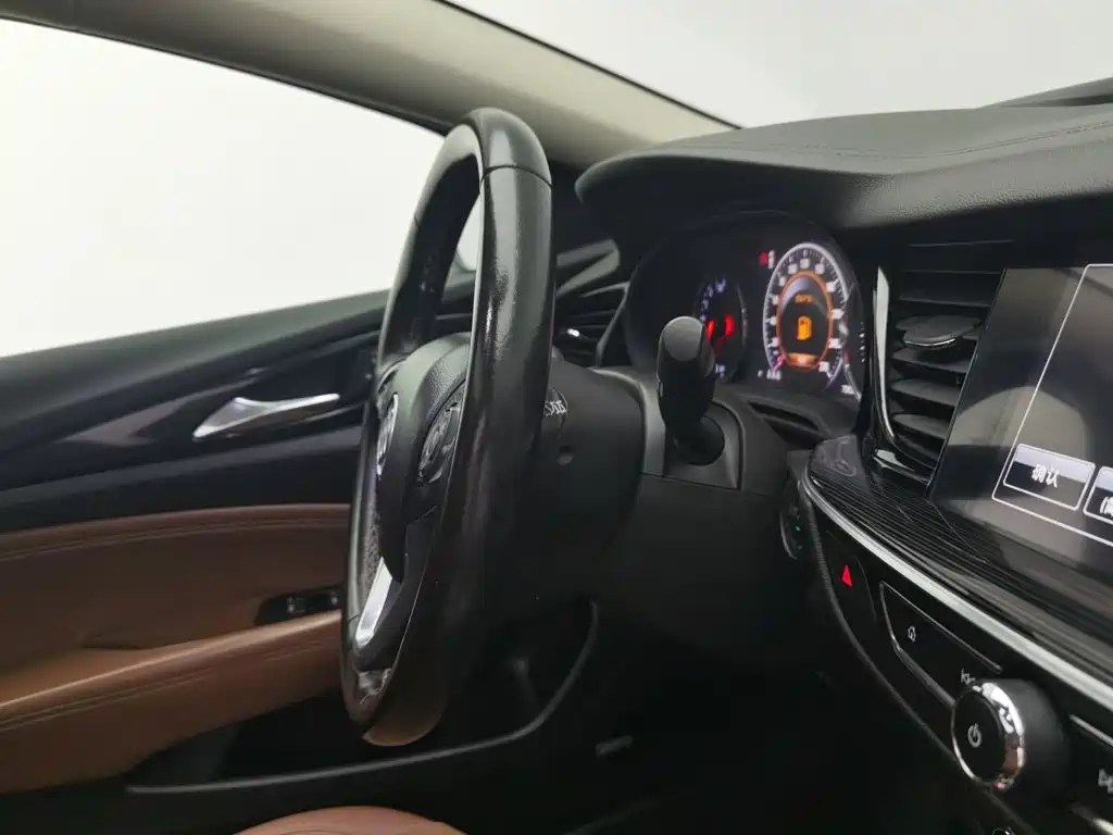 Buick Regal — миниатюра 22