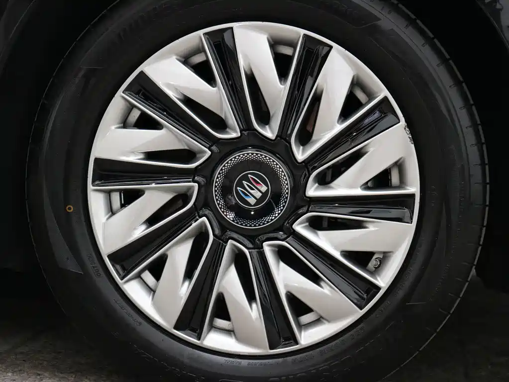 Buick Electra Encasa — миниатюра 12