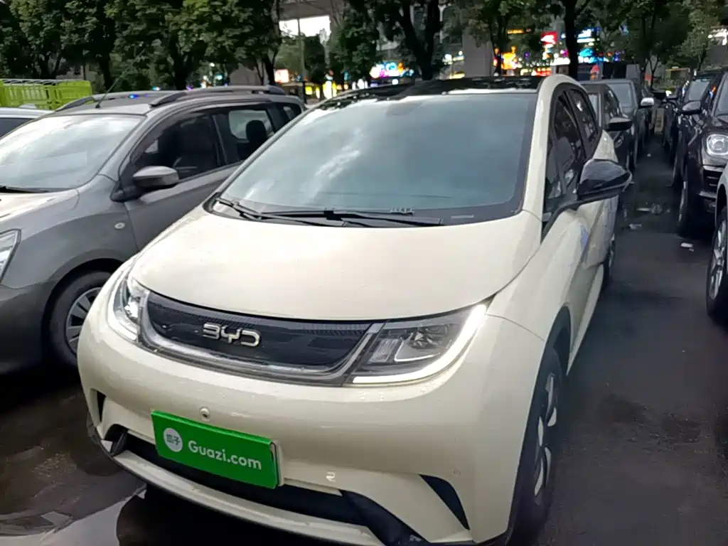 BYD Dolphin — миниатюра 3