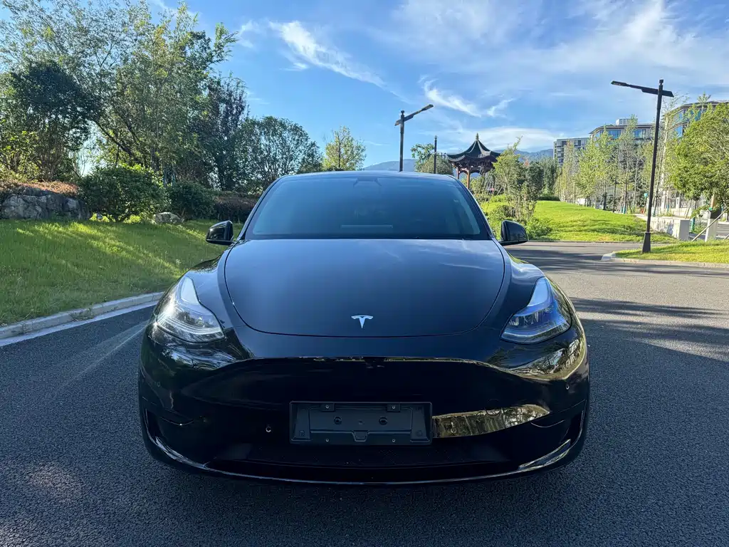 Tesla Model Y — фотографии объявления, Фото 4