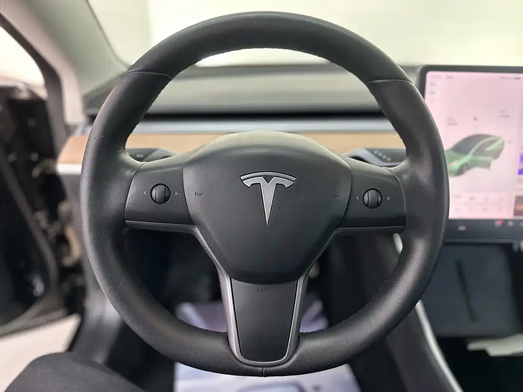 Tesla Model 3 — миниатюра 8