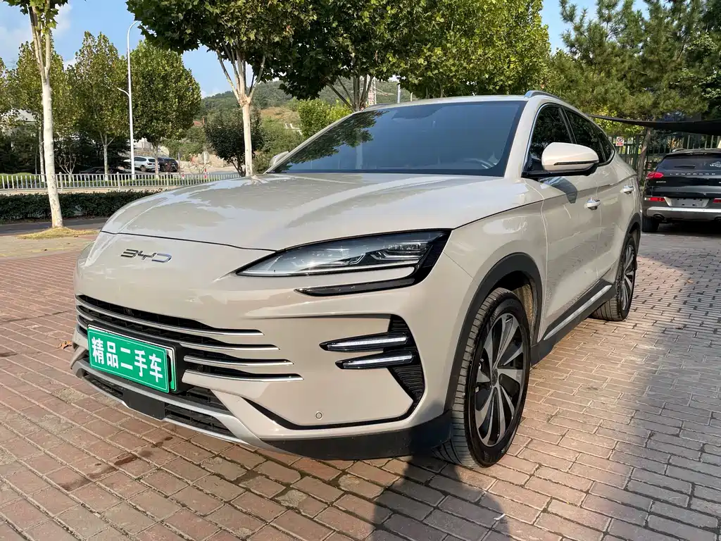 BYD PLUS New Energy