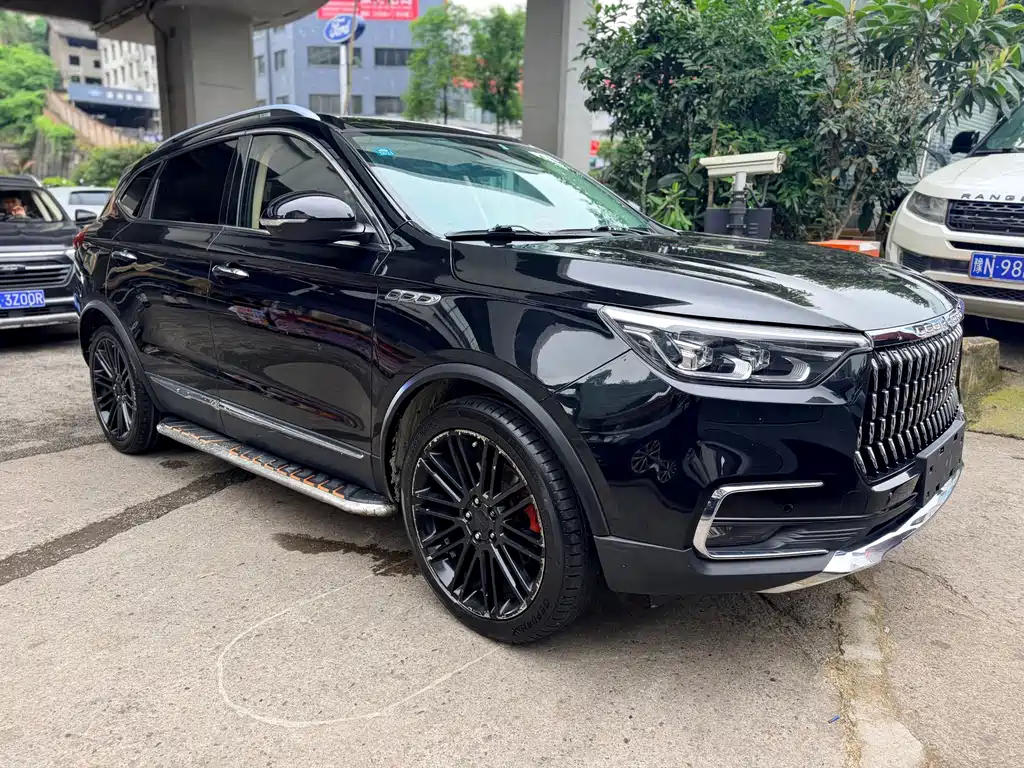 Leopaard Mattu — миниатюра 3