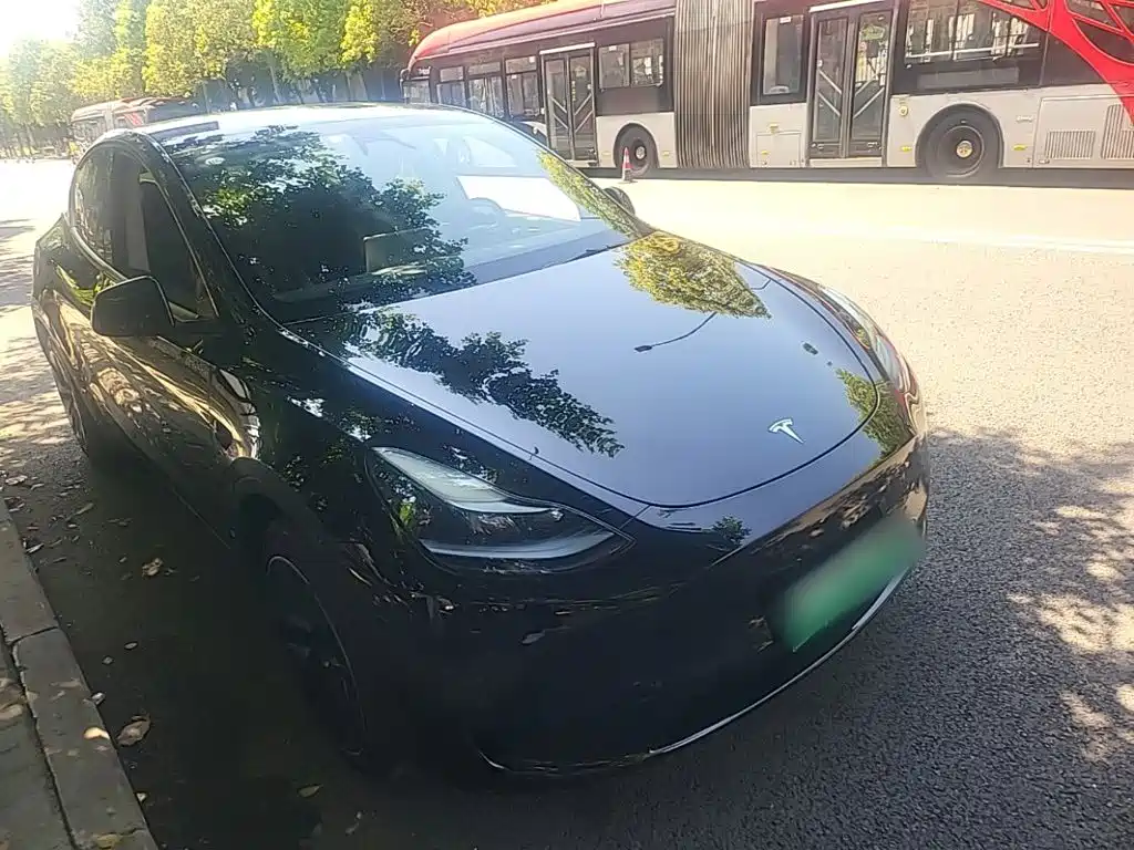 Tesla Model Y — миниатюра 4