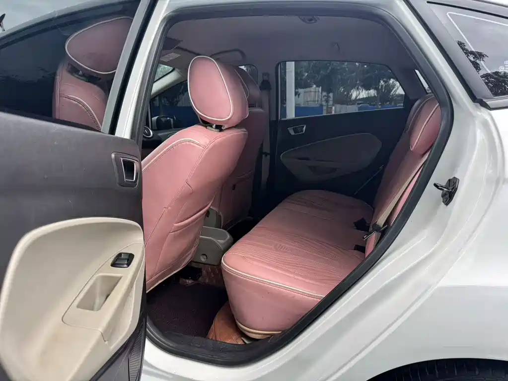 Ford Fiesta — миниатюра 12